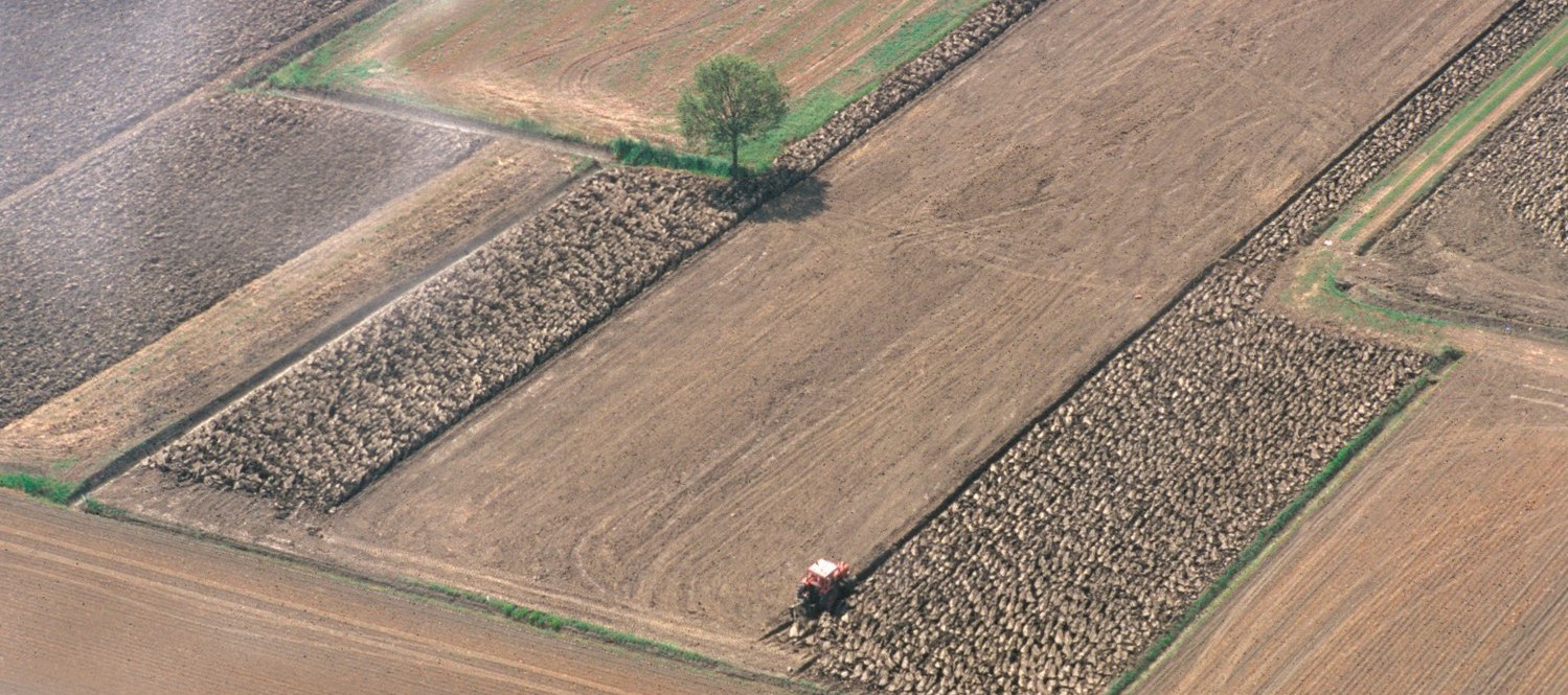Piano Irriguo Regionale